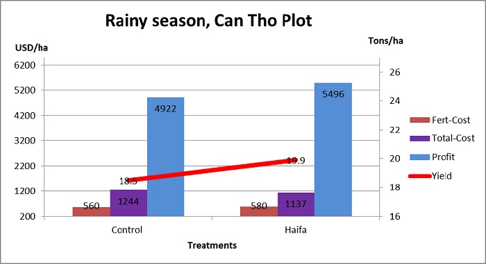 Watermelon fertilizer - Rainy season, Can Tho plot